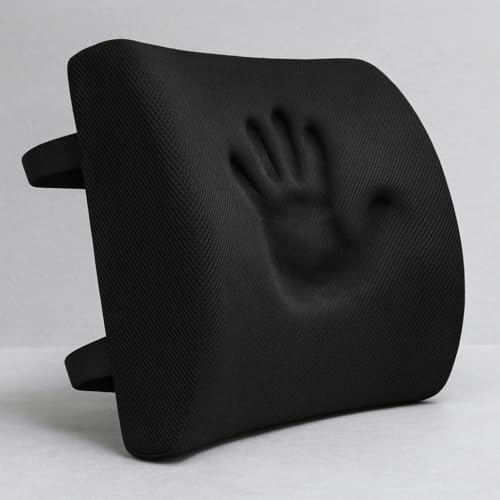 Image of Homerz Ergonomic Lumbar Support Cushion for Office Chair & Car Seat | Orthopedic Memory Foam Backrest for Long Sitting & Back Pain Relief (Lumbar Back Seat)