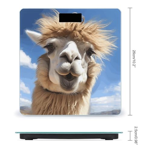 Báscula digital de baño con vidrio templado y pantalla LCD miniatura 2