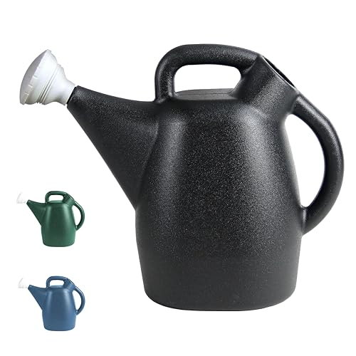 Chapin 47998 Watering Can, 2 Gallon, Indoor and Outdoor Plants, Lawn, Garden, Removable Nozzle, Drip-Free Sprinkler Head, Recycled Plastic, Black