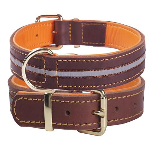 Collare per Cani in Pelle Riflettente Resistente, Regolabile e Imbottito, per Cani di Taglia Media, Grande ed Extra Large XL (Marrone M)