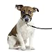 Karlie Easy Leader M schwarz Golden Retriever, Dobermann, Labrador