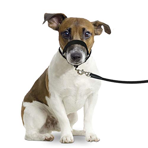 Karlie Easy Leader M schwarz Golden Retriever, Dobermann, Labrador