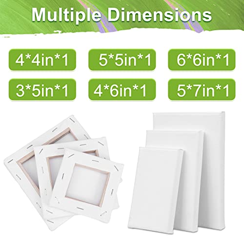 image for ESRICH 6Packs Mini Stretched Canvases for Painting with 3x5”, 4x4”
