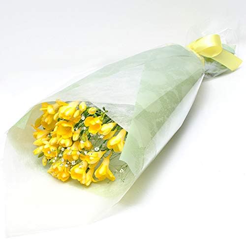 Amazon 旅立ちのお花 フリージア 鮮やかな黄色とカスミ草の花束 フリージア ブーケlサイズ 退職祝い 卒業祝い エーデルワイス 花工房 Bouquet Of Freesia And Gypsophila L Size 花束 オンライン通販