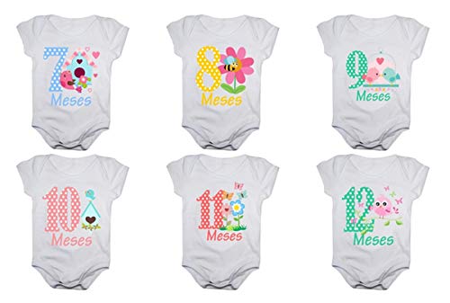 Kit Body de Bebê Mês Aniversário Menina - 12 bodies (Tamanho Ùnico, Jardim encantado)