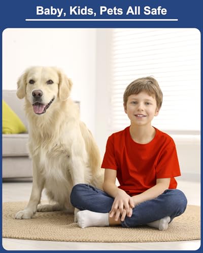 Rat & Mouse Glue Traps 6 Pack, Large Bulk Traps, Indoor for Home, Pre-Scented Adhesive Plastic Tray Inside House, Snake, Mice, Spider Pet Safe