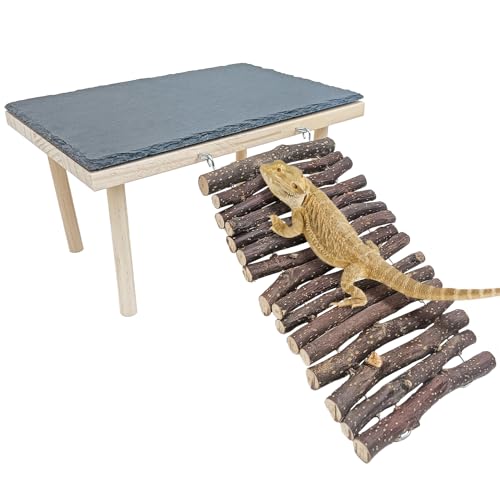 BNOSDM Bearded Dragon Basking Rock Platform with Climbing Ramp Reptiles Hideout Hide Cave Reptile Tank Accessories Suit for Tortoise, Lizard, Toad, Gecko (Small)