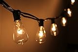 Fantado 10 Socket Outdoor Patio String Light Set, S38 Clear Bulbs, 10 FT Black Cord w/ E12 C7 Base by PaperLanternStore