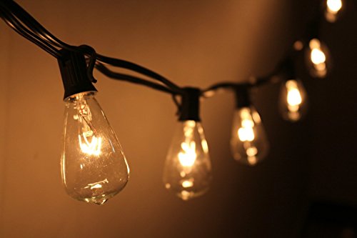 fantado 10 Socket Outdoor Patio String Light Set, S38 Clear Bulbs, 10 FT Black Cord w/ E12 C7 Base by PaperLanternStore