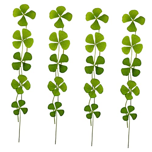 Dried Pressed Four-Leaf para Manualidades Pack 24 piezas miniatura 1