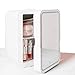 GDAFF Mini Nevera Frigorificos Pequeños Portátil con Espejo Maquillaje con luz, con función de Calentamiento Minibar Congelador para Cosméticos Oficina Car Cámping 12/220 V