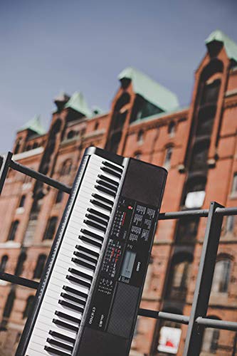 Teclados Y Pianos, Musical Instruments Imagen adicional