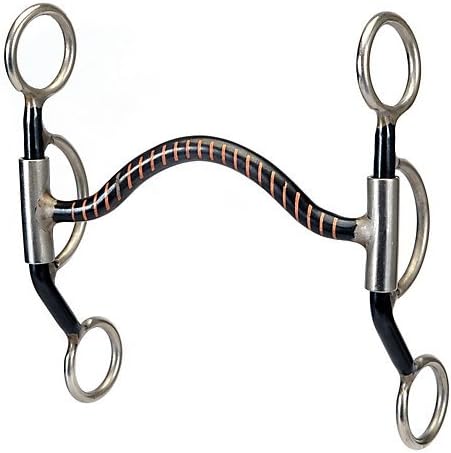 Western NP Med Arch Short Double Rein Bit
