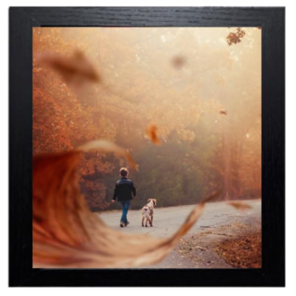 Square Picture Frame Solid Wood Effect Table Top & Hanging Photo Frame with Clear Perspex Front & Wall Mounted Hooks (12 x 12" (30.5 x 30.5 cm), Black)