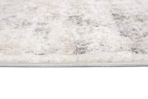 TAPISO Valley Teppich Kurzflor Vintage Hellgrau Blumen Rahmen Orientalisch Used Effekt Meliert Verwischt Wohnzimmer Schlafzimmer ÖKO-TEX 200 x 300 cm