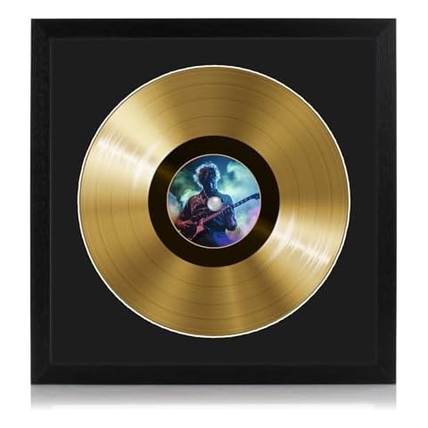 12" Vinyl Record Picture Disc Frame Cover