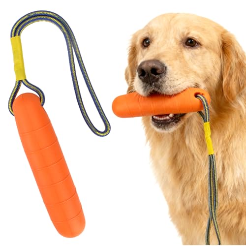 zorvixal Jouet Flottant pour Chien, 22 cm Jeux d'eau pour Chien avec Corde en Nylon, Jouet Aquatique pour Chiens de Taille Moyenne et Grande, pour...