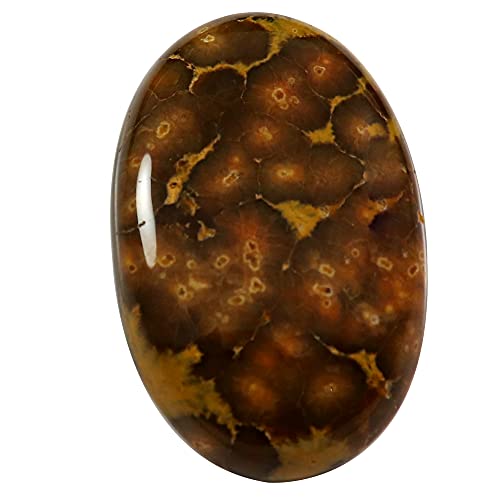 Jaspe océan cabochon de collection, gemme naturelle ovale d'exception de 43,6 ct