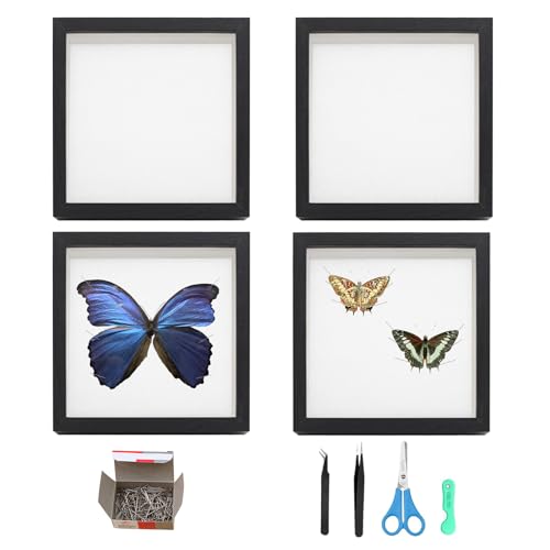 4 Stück Insekten Vitrine Sammelbox mit Transparentem Fenster 15,1x15,1cm Insektensammlung mit Schaumstoffplatten Insekten Schaukasten für Bug Hobbyist 4 Stück Insekten Vitrine Sammelbox mit Transparentem Fenster 15,1x15,1cm Insektensammlung mit Schaumstoffplatten Insekten Schaukasten für Bug Hobbyist