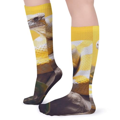 Playing Poker Dogs Crew Athletic Socks Soft Breathable Socks Winter Warm Stockings for Women Men4