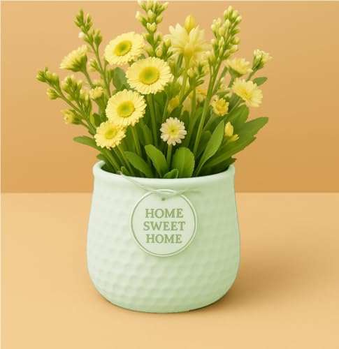 Image of Yo Green Ceramic Plant Pot for Indoor & Outdoor, Modern Planter for Home & Office Decor, Durable, Stylish Finish, Ideal for Tabletop, Shelf, Balcony, Great Gift Idea (Mint, 4 Inches)