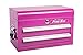 The Original Pink Box PB218MC 18-Inch 2-Drawer 18G Steel Mini Storage Chest w/ Lid Compartment, Pink
