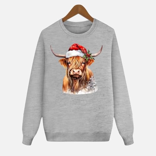 Matching Christmas Pajamas Hoodie Set Festive Long Sleeve Christmas Family Pjs Pullover Sweatshirt Three Piece Outfit4