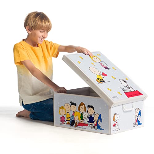 2er-Set Aufbewahrungsbox mit Deckel für Kleidung und Wäsche, Snoopy mix Gross Karton Kleiderschrankboxen, saisonaler Wechsel, Geschenkboxen 50x39x24 cm
