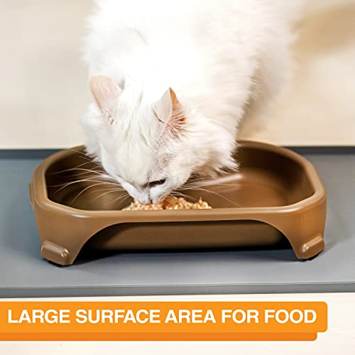 Image of Neater Pet Brands Large Capacity Cat Bowls, Water Bowl for Cats, Reptiles, Chickens, Birds, & Small Animals, Cat Food Bowl (6 Cups), Indoor or Outdoor Water Trough & Feeder, Champagne
