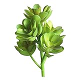 3. echt und umweltfreundlich: Die künstlichen Sukkulenten sind aus hochwertigem ABS-Kunststoff hergestellt, wodurch sie echt aussehen, lebensechte Farben und einfaches Design verleihen dem gewünschten Raum ein Gefühl von Kunst und Natur