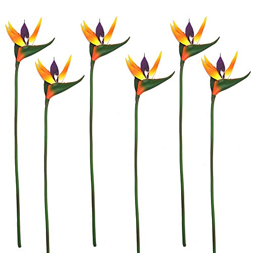 Lanldc 25 Inch Bird of Paradise Artificial Plant for Home Office Decoration 6Pcs (Orange)