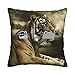 Caso Federa Tigre del Bengala Copri Cuscini Stampato Federe Astratta Federa per Casa, Ufficio, Divano, 45X45Cm
