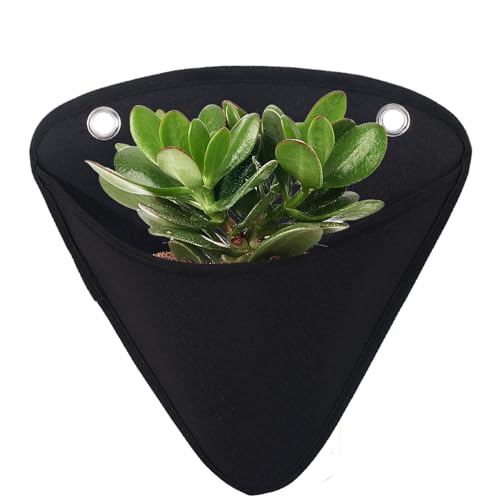 Générique Borse da coltivazione a parete | Tasca da giardinaggio conica | Borsa Seminatrice multiuso impermeabile per Frutta Balcone Appartamento