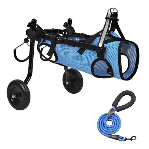 Silla de ruedas para perros con movilidad reducida en patas traseras talla M