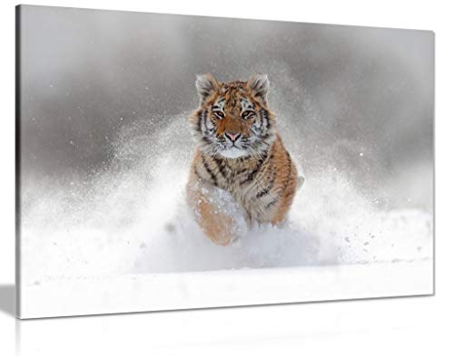 Siberian Tiger Running In Snow Wildlife Nature Canvas Wall Art Picture Print (30X20In) #TOP1