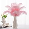 Lamar 20Pcs 10-12'' Pink Ostrich Feathers for Wedding Centerpieces, Crafts, Carnival, Gifts, Party Decor, Floral Arrangement, Bohemian Home Decor (LightPink) #2