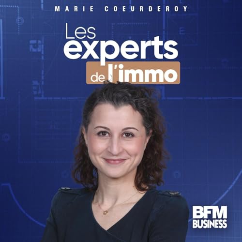 Couverture de Les experts de l'immo