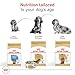 Royal Canin Dachshund Adult Breed Specific Dry Dog Food, 10 Lb bag