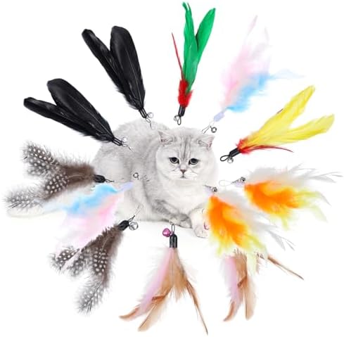 12Pcs Cat Feather Toys Refills, Feather Cat Wand Toys Attachment ...