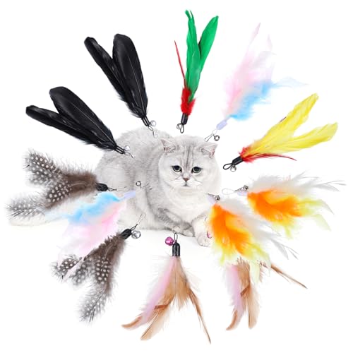 Kifmurase 12 Stück Katzenspielzeug Feder, Feder-Katzenstab-Spielzeugaufsatz mit Glöckchen, interaktiver Teaser-Federn-Ersatz für gelangweilte Hauskatzen, Kätzchen-Übungsspiel Kifmurase 12 Stück Katzenspielzeug Feder, Feder-Katzenstab-Spielzeugaufsatz mit Glöckchen, interaktiver Teaser-Federn-Ersatz für gelangweilte Hauskatzen, Kätzchen-Übungsspiel