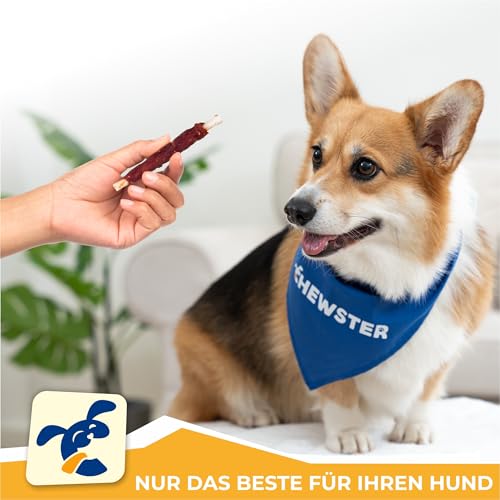 CHEWSTER Kaustangen für Hunde mit Ente – Hundeleckerli - 85 Kaurollen für Hunde (800 g)