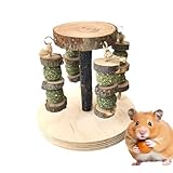 Activité ludique et engageante : Outil de mastication qui éveille la curiosité et soutient l'entretien des dents, ces jouets favorisent l'exploration et le jeu. Ils améliorent l'environnement de vie en créant un espace invitant, tout en servant de décoration stylée et d'accessoires d'aménagement pour la cage.