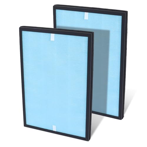 Lot de 2 filtres de rechange 4 en...
