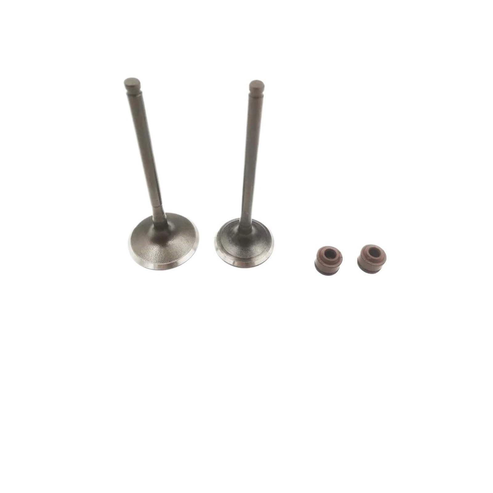 Gclanxi Multi-Colored Motorcycle Parts Z190 Zs190 Engine Intake Exhaust Valves Fits For Chinese For Zongshen 190Cc Pit Dirt Bike