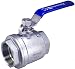 Duda Energy 2PCBV-WOG200-F200 Full Port Ball Valve, 2" NPT, 2 Piece, 304 Stainless Steel with Blue Vinyl Handle, 2"