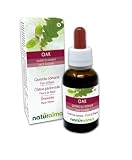 Oak o Quercia comune (Quercus robur var. pedunculata) Fiori emozionali o Fiori di Bach Naturalma - Gocce 30 ml - Estratto liquido analcoolico - Essenze floreali - Vegano e Senza alcol