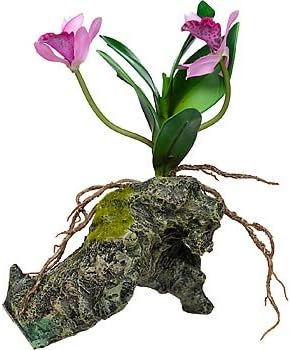 Zoo Med Naturalistic Flora Orchid with Rock