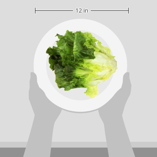 Green Leaf Lettuce, One Head