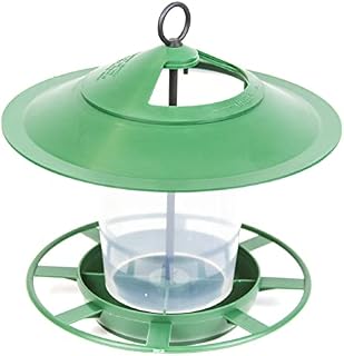 Etree Hanging Lantern Bird Feeder - The Ideal Small Bird Seed Feeder (Green)