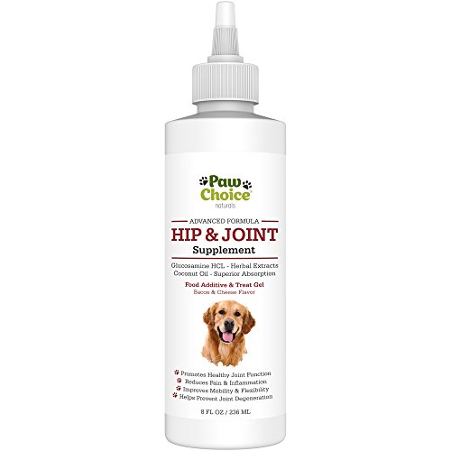 Advanced Dog Glucosamine Hip and Joint Supplement - Best for Healthy Joints, Mobility, Pain Relief & Arthritis Care - Faster Absorbing Extra Strength Gel + Beneficial Natural Extracts, USA Made